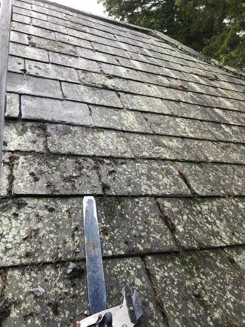 Moss growth on the roof being cleared and broken slates replaced — photo 7